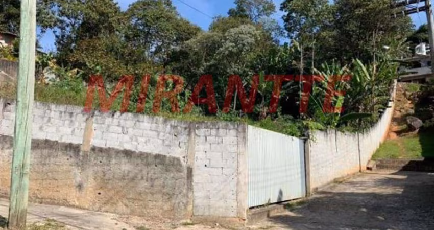 Terreno em Serra Da Cantareira