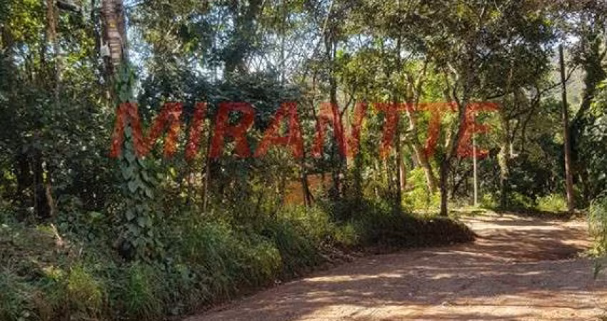 Terreno em Serra Da Cantareira