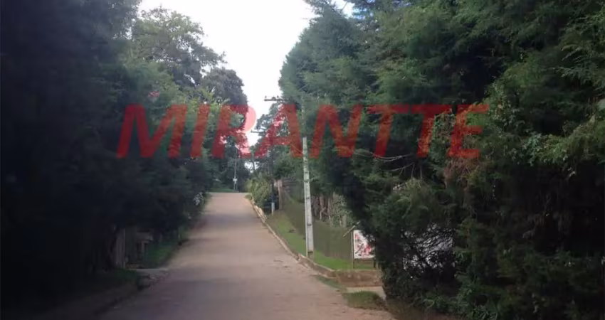 Terreno à venda na Alameda Dos Cristais, Serra da Cantareira, São Paulo