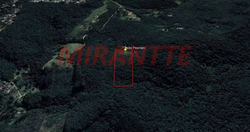 Terreno à venda na Estrada do Apolinário, Serra da Cantareira, São Paulo