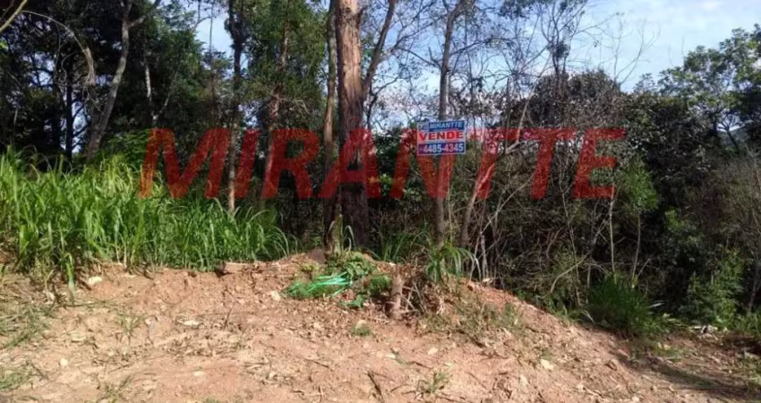 Terreno à venda na Rua Portugal, Serra da Cantareira, São Paulo