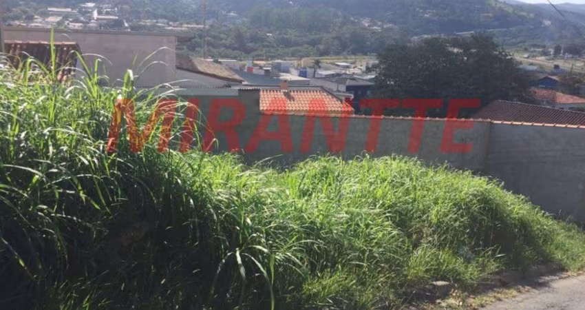 Terreno em CENTRO