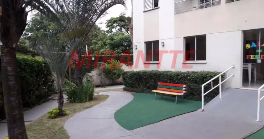 Apartamento com 2 quartos à venda na Rua Antônio Domingues Freitas, Vila Amélia, São Paulo