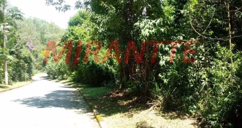 Terreno à venda na Alameda Italia, Serra da Cantareira, São Paulo