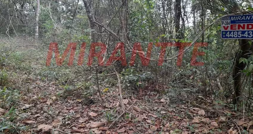 Terreno à venda na Rua Gardenias, Serra da Cantareira, São Paulo