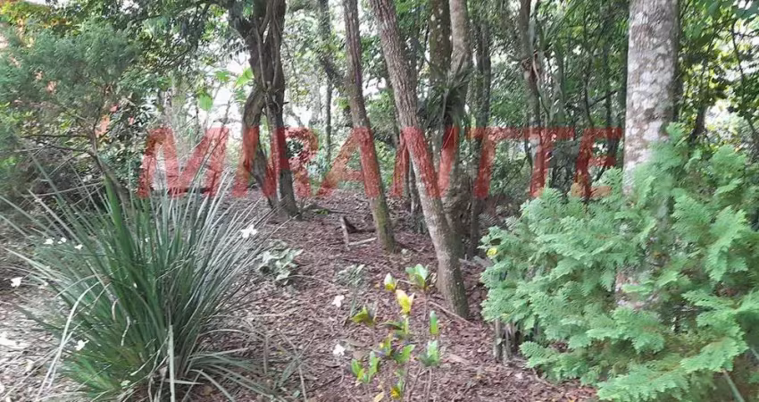 Terreno à venda na Rua Ernani Lucio Pinaschi, Zona Rural, Mairiporã