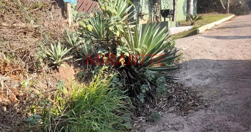 Terreno em PARQUE PETROPOLIS