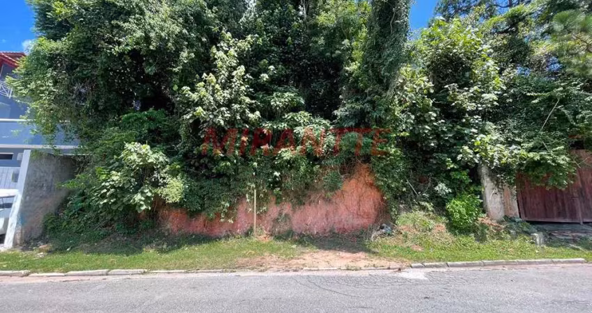 Terreno à venda na Alameda Itália, Parque Petrópolis, São Paulo