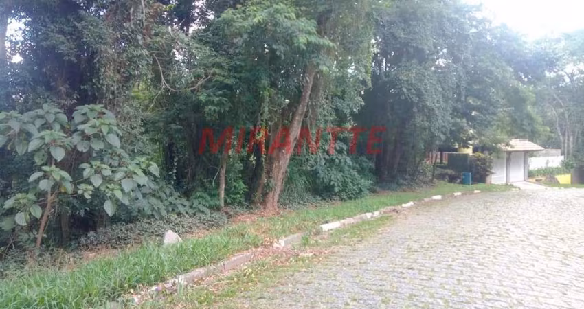 Terreno em Serra Da Cantareira
