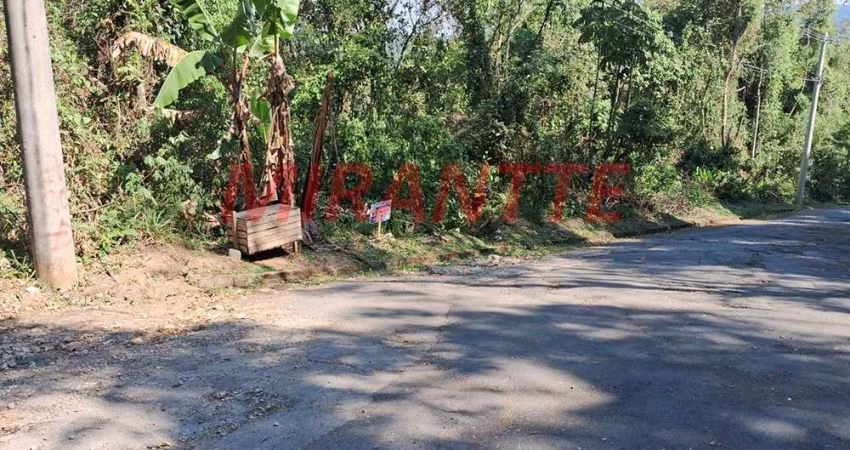 Terreno em Serra da Cantareira