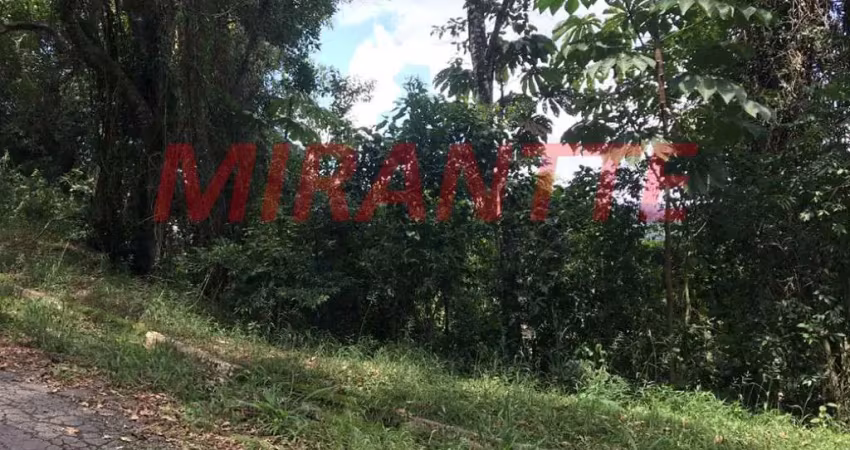 Terreno em condomínio fechado à venda na Alameda Flamboyants, Serra da Cantareira, Mairiporã