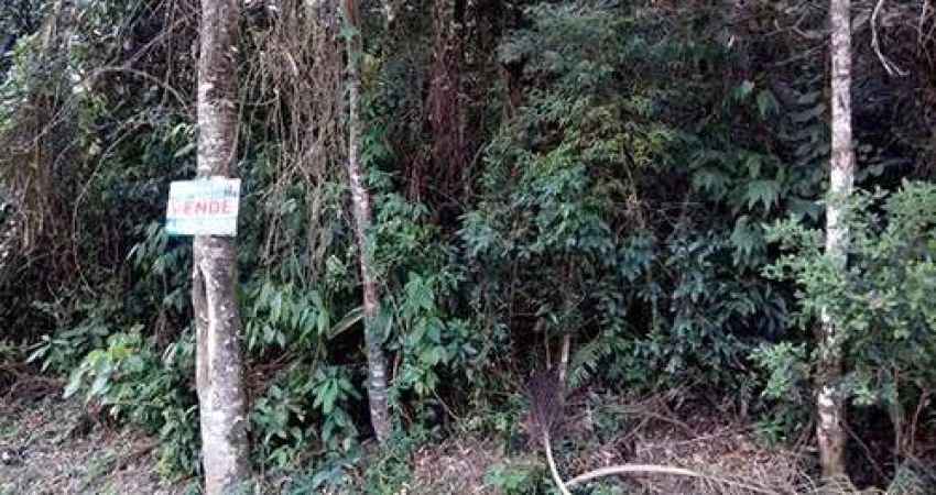 Terreno em Serra Da Cantareira