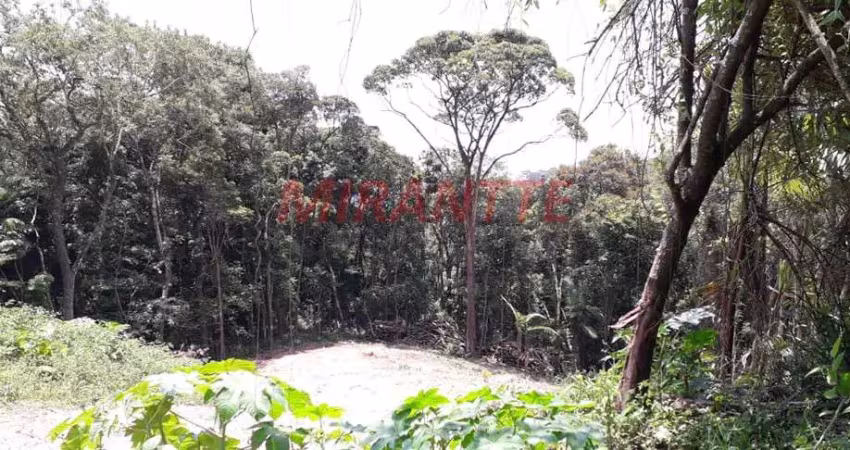 Terreno em condomínio fechado à venda na Alameda Das Saíras, Serra da Cantareira, Mairiporã