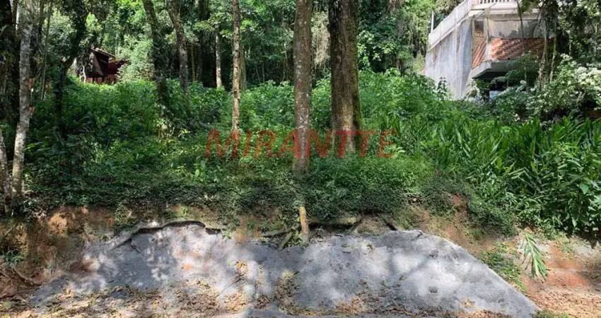 Terreno em condomínio fechado à venda na Rua Barão De Guedes, Serra da Cantareira, São Paulo