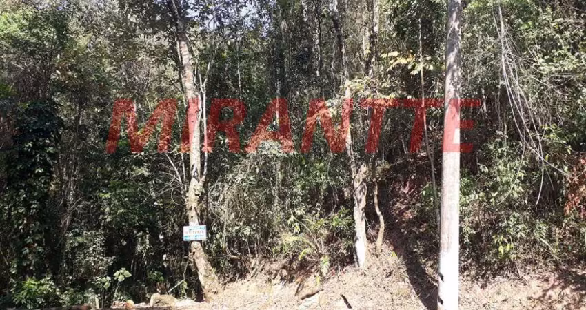 Terreno em condomínio fechado à venda na Rua Nogueira, Serra da Cantareira, São Paulo