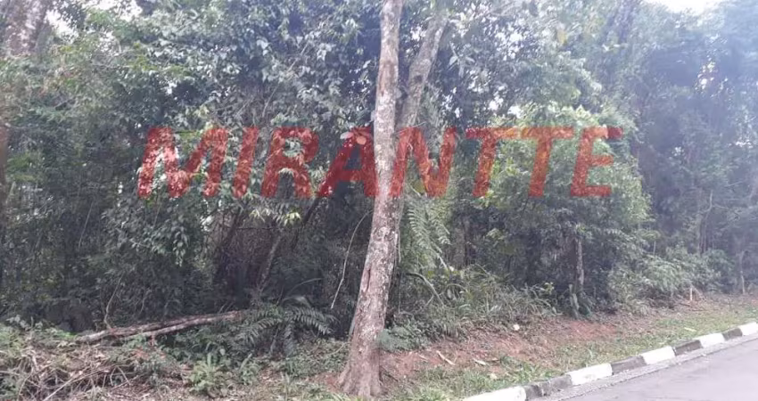 Terreno em condomínio fechado à venda na Avenida Doutor Arthur Andrade Filho, Serra da Cantareira, Mairiporã