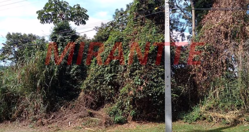 Terreno em Serra Da Cantareira