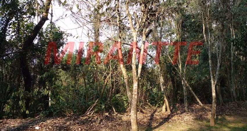 Terreno em Serra Da Cantareira