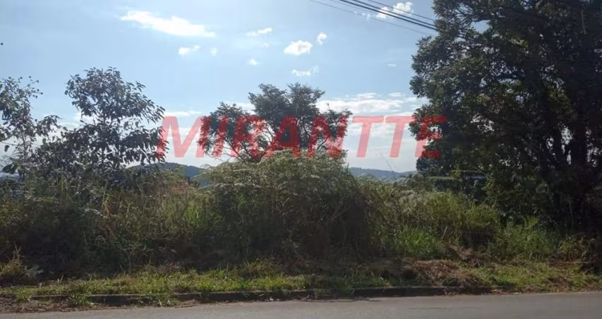 Terreno em Serra Da Cantareira