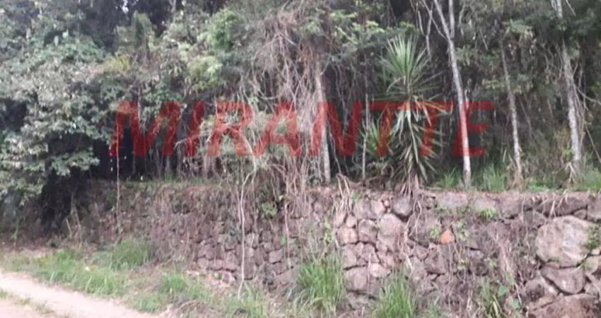 Terreno em condomínio fechado à venda na Alameda Alameda Do Jacarandá, Serra da Cantareira, Mairiporã