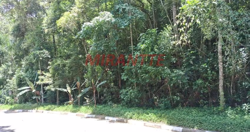 Terreno em Serra da Cantareira
