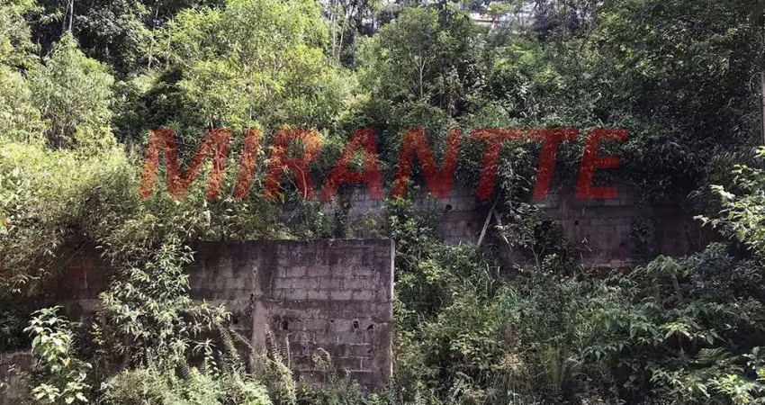 Terreno em condomínio fechado à venda na Alameda Peru, Serra da Cantareira, São Paulo