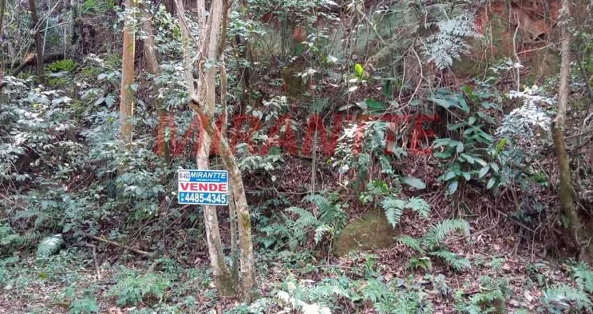 Terreno em sausalito