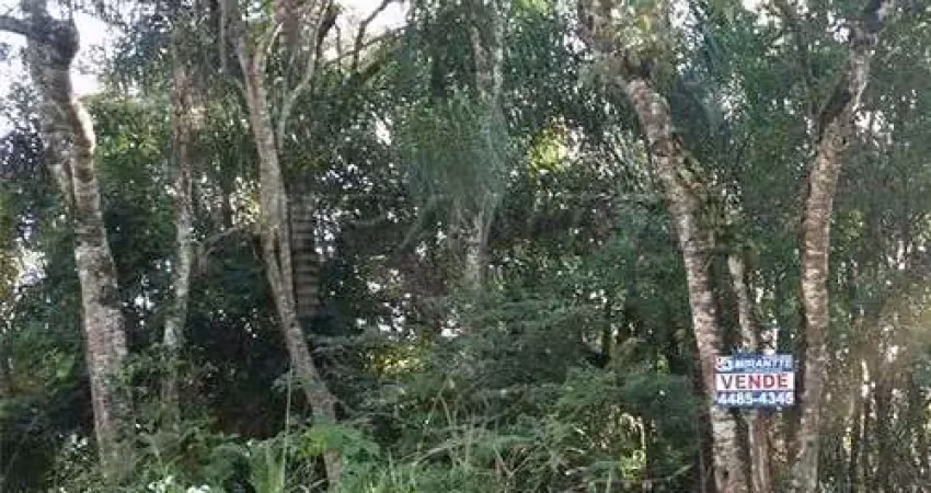 Terreno em condomínio fechado à venda na Rua Ilhéus, Serra da Cantareira, Mairiporã