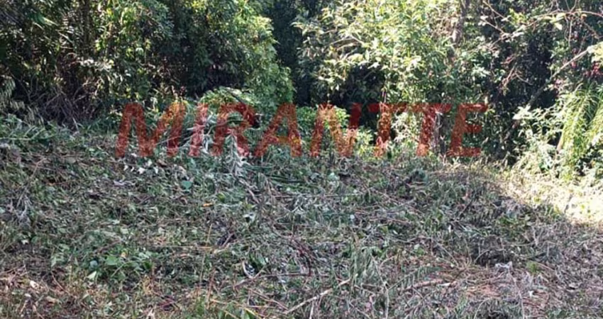 Terreno em São Vicente
