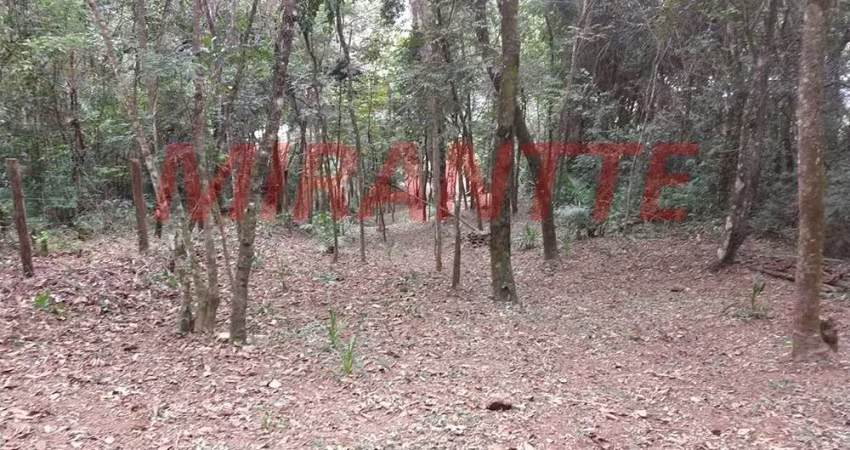 Terreno em Bairro dos Valos