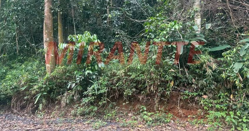 Terreno em Roseira