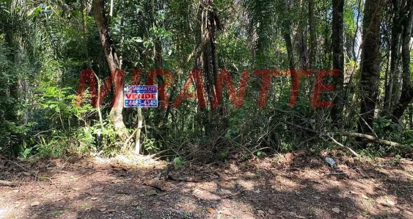 Terreno em Caraguata