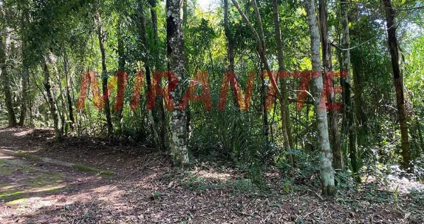Terreno em Caraguata