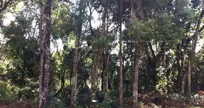 Terreno em condomínio fechado à venda na Rua Dom Pedro II, Serra da Cantareira, São Paulo