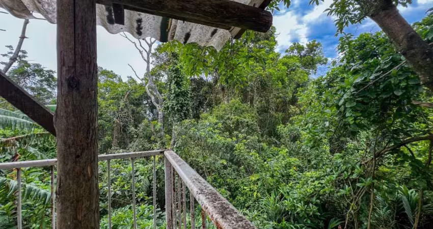 Casa de 4 dormitórios à venda no Morro das Pedras