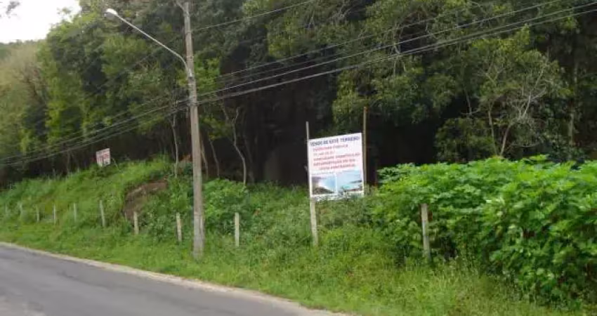 Terreno à venda na Rodovia Jornalista Manoel de Menezes, 406, Barra da Lagoa, Florianópolis