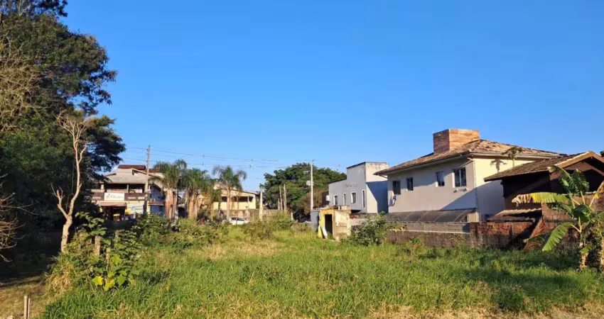 Terreno comercial à venda na Rodovia Doutor Antônio Luiz Moura Gonzaga, 74, Rio Tavares, Florianópolis