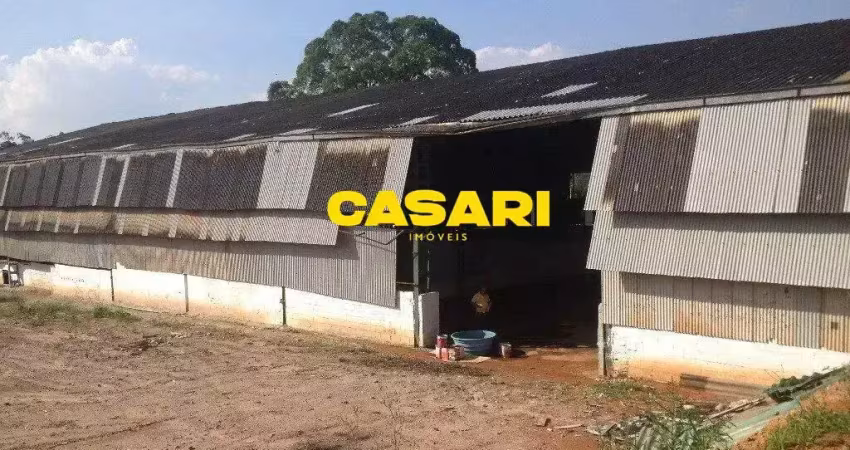 Galpão, 7.044 m² - venda - batistini - são bernardo do campo/sp