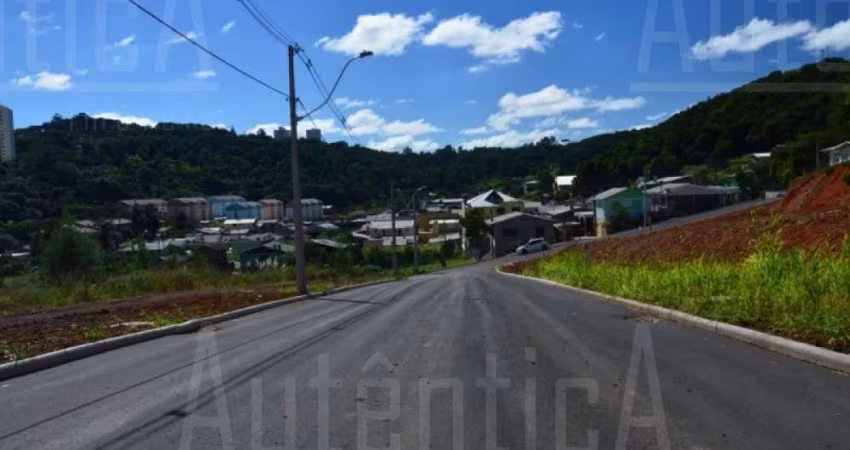 Terreno à venda na Rua Amélia Pinguella Bonatto, São Luiz, Caxias do Sul