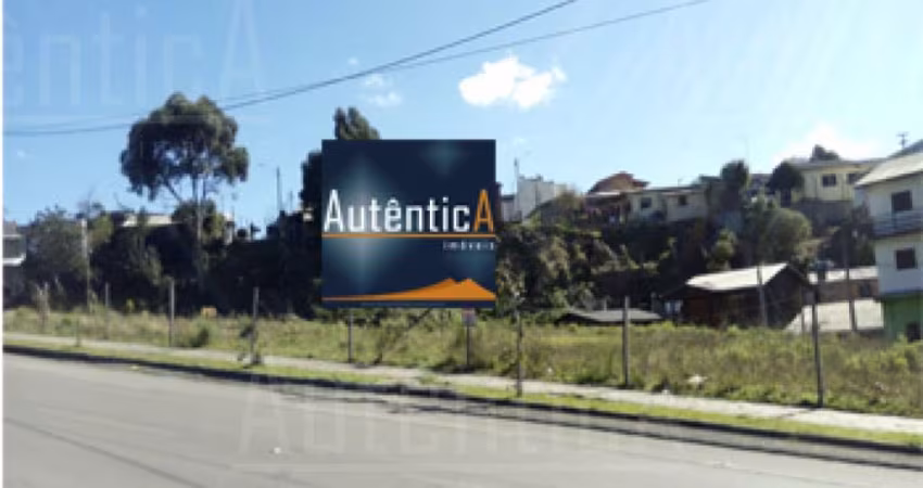 Terreno à venda na Rua Sandra Maria Andrin, s/n, Rio Branco, Caxias do Sul
