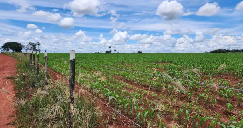 Chácara / sítio à venda na Área Rural, Área Rural de Artur Nogueira, Artur Nogueira