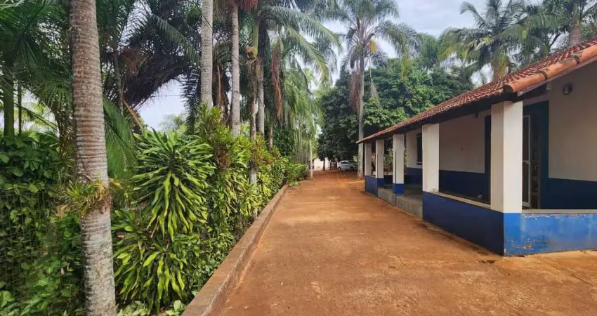 Chácara / sítio com 3 quartos à venda na Área Rural, Área Rural de Artur Nogueira, Artur Nogueira