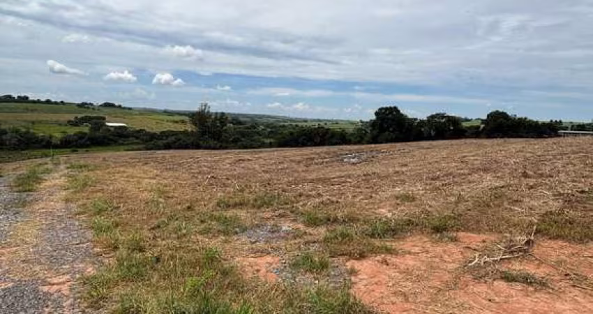 Sítio de 20.000 m² em Artur Nogueira