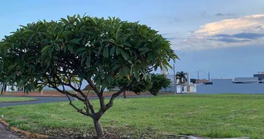 Terreno comercial, de esquina entre o bairro Nova Artur / Rota das Flores