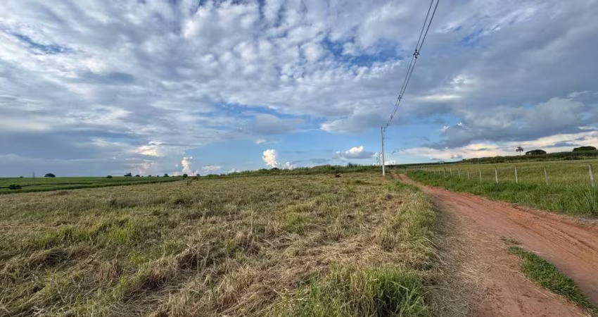 Sítio de 20.000 m² em Artur Nogueira - SP