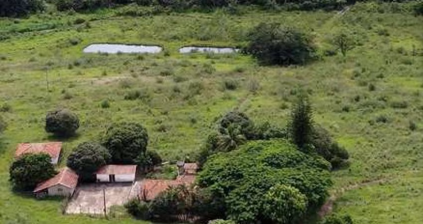 Área rural com 56.000 m² no Lagoa Bonita em Engenheiro Coelho - SP