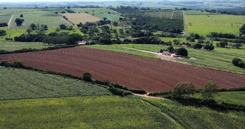 53.105 m² às margens da Rodovia João Tosello em Engenheiro Coelho - SP