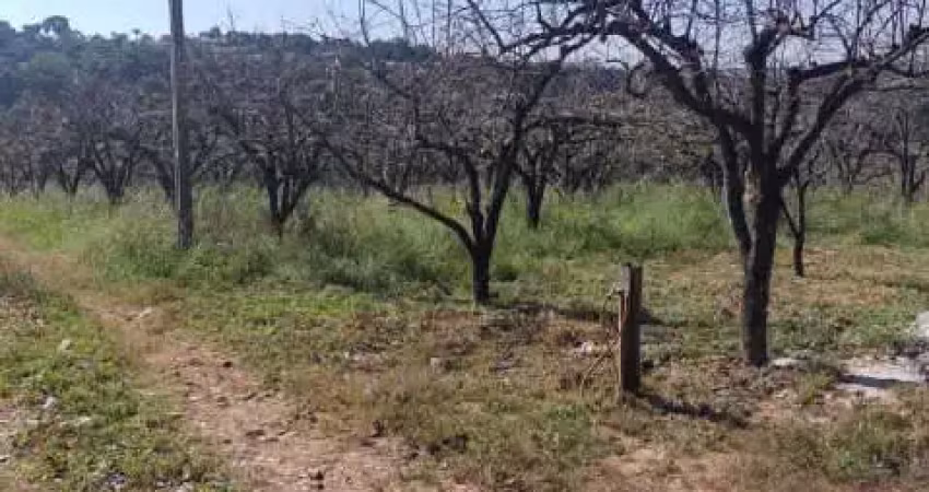 Chácara / sítio com 3 quartos à venda na Área Rural de Itatiba, Itatiba 