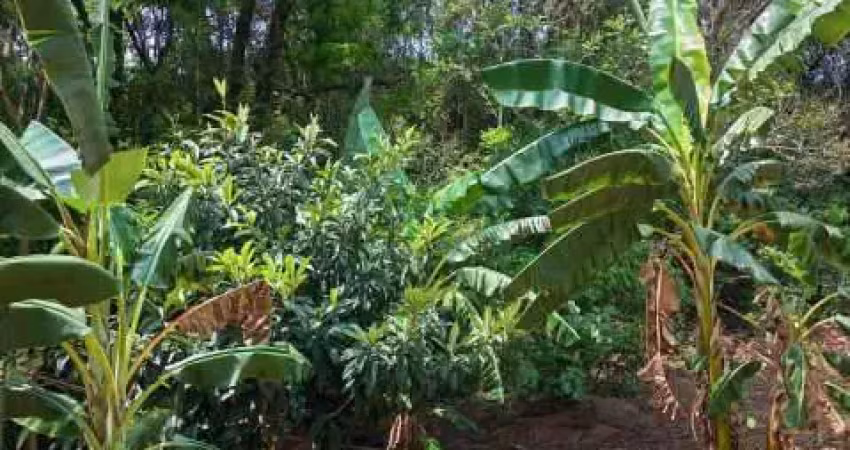 Chácara / sítio com 3 quartos à venda no Bairro Morro Azul, Itatiba 