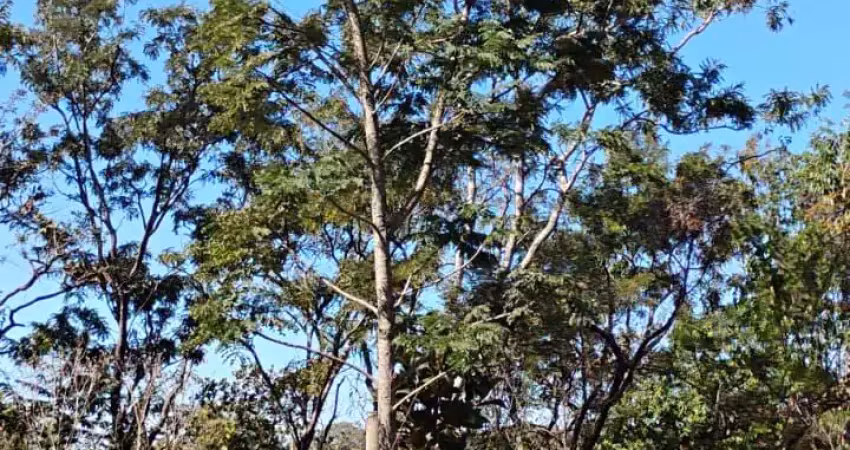 Chácara terreno plano1000 metros morada nova,  uberlandia